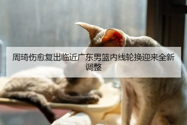 周琦伤愈复出临近广东男篮内线轮换迎来全新调整