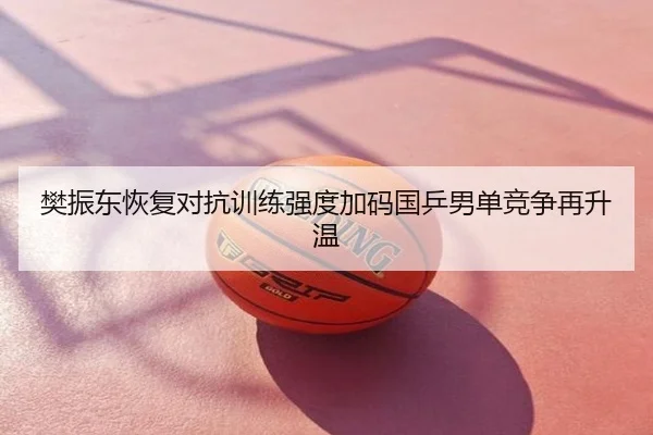 樊振东恢复对抗训练强度加码国乒男单竞争再升温